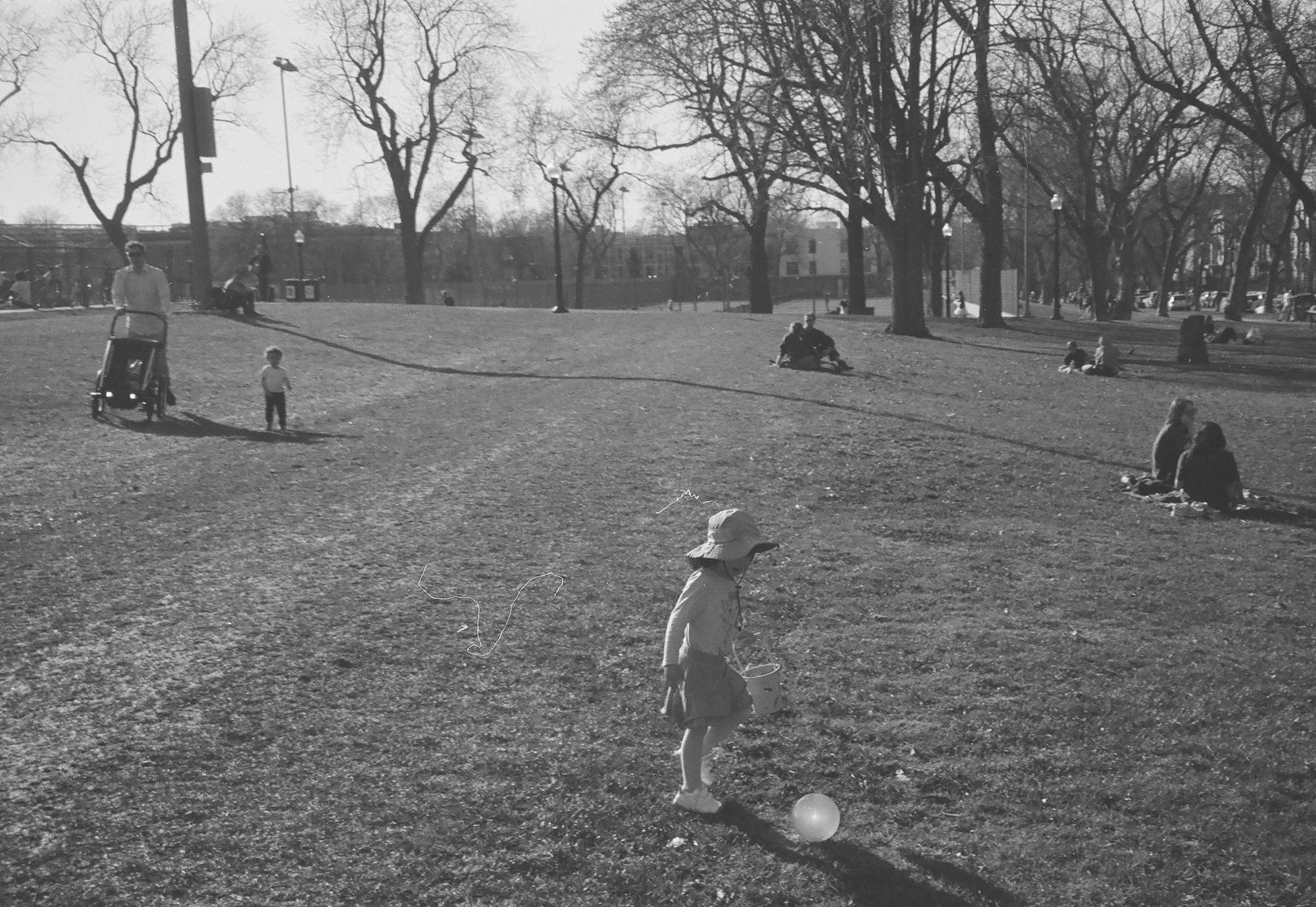 Archive photograph 154, 2026