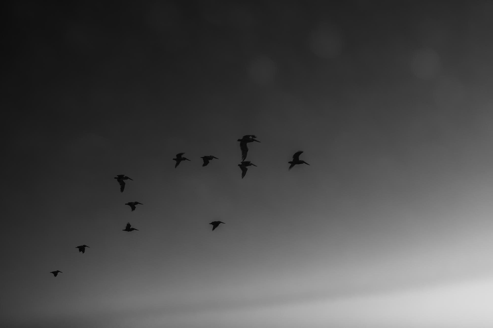Archive photograph 088, 2026