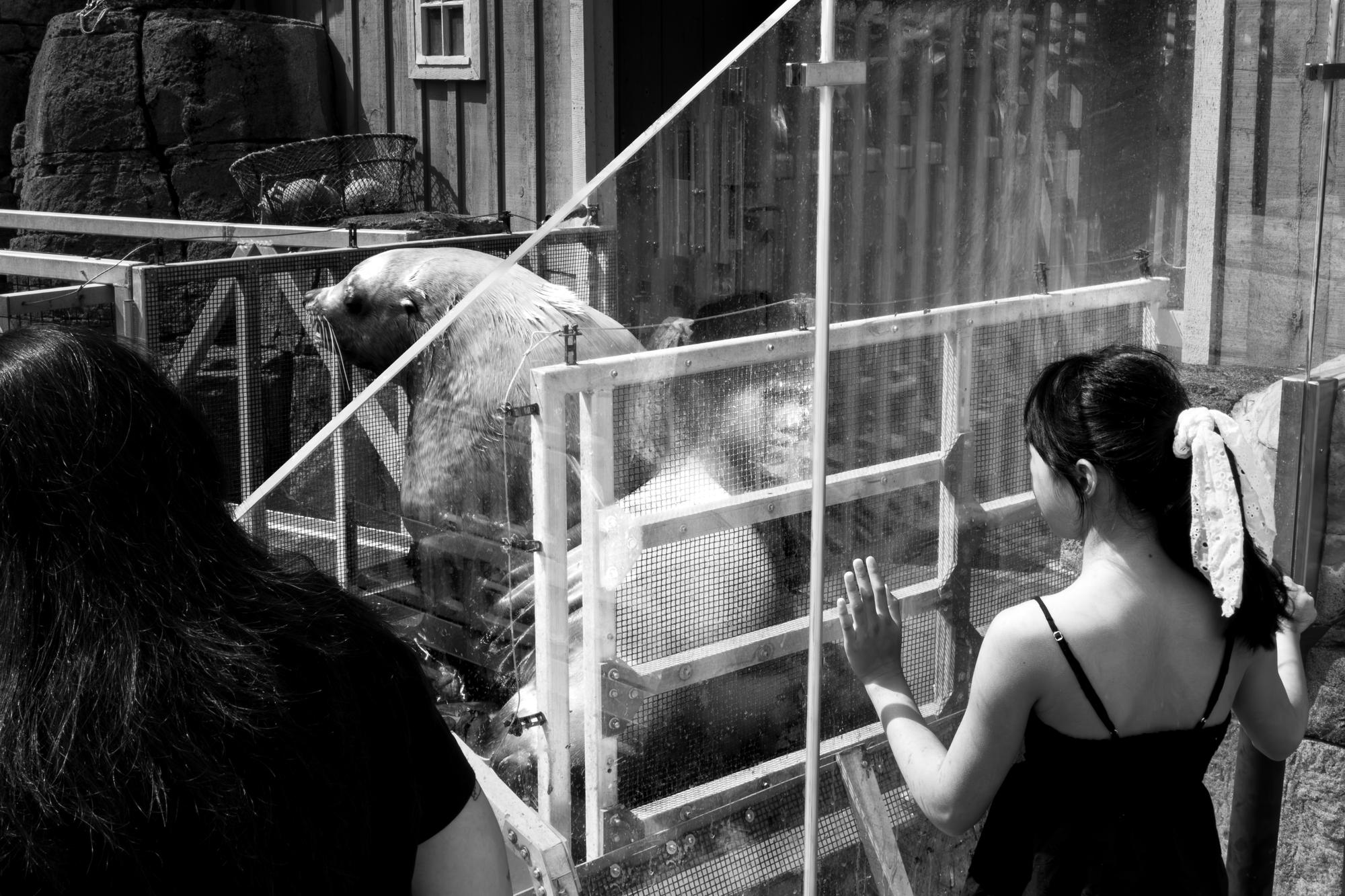 Archive photograph 072, 2026