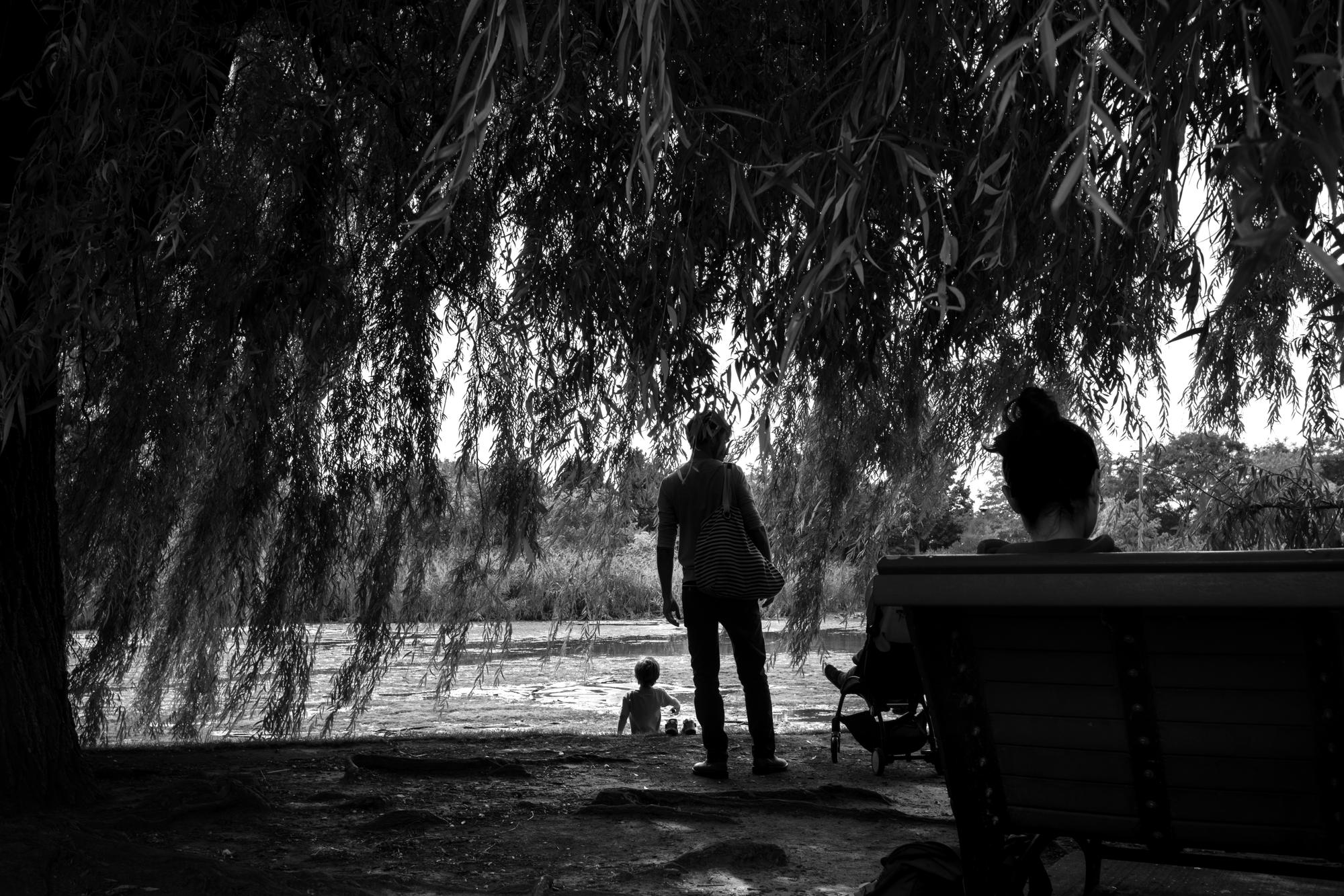 Archive photograph 024, 2026